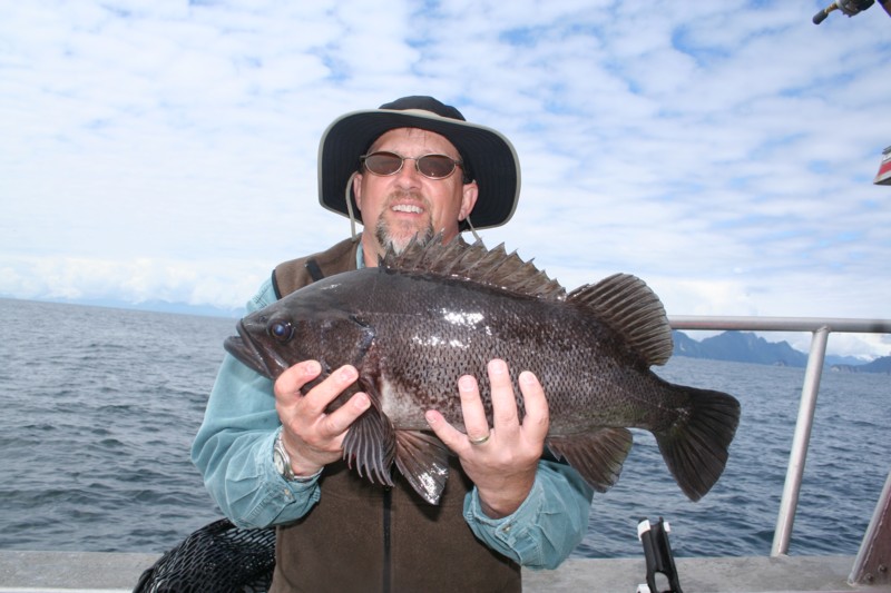 Pictures Of Rockfish