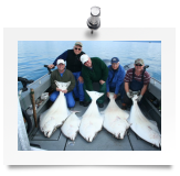 Alaska Halibut Photo Gallery, trophy halibut photos.