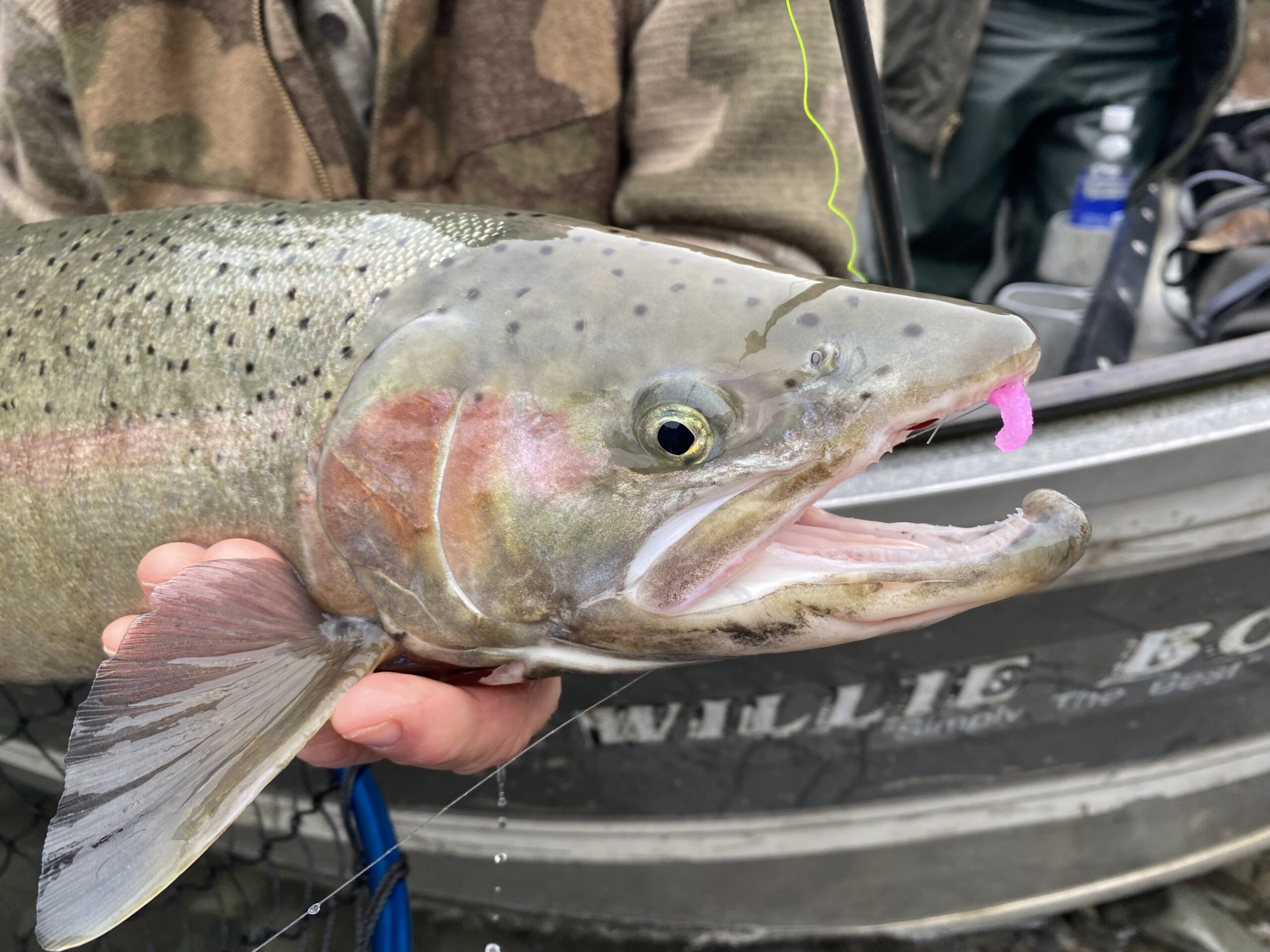 Chetco River fishing guides Archives - Wild Rivers Fishing